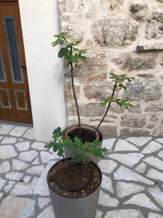 Old Town Apartment Tonka Hvar Town Exterior foto